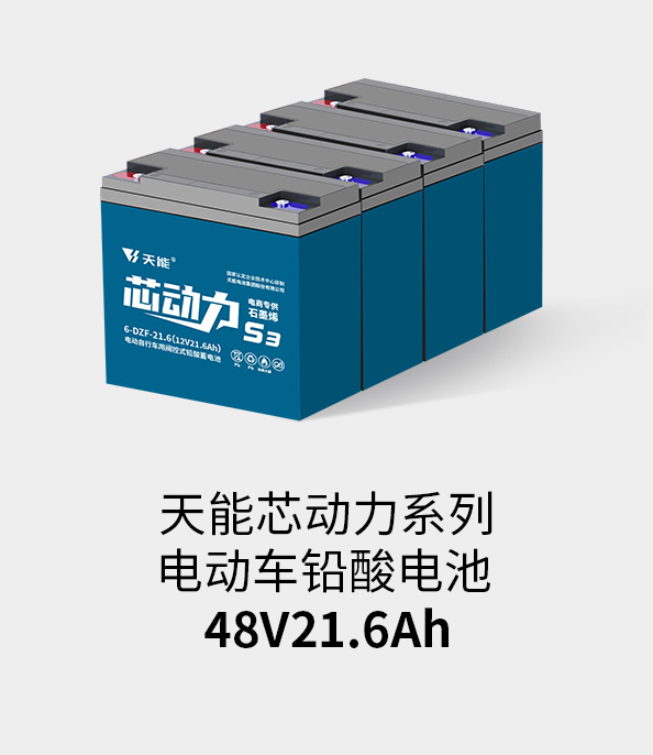 美狮贵宾会电池48v20ah