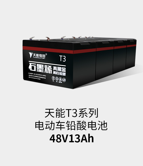 美狮贵宾会T3系列48v13ah